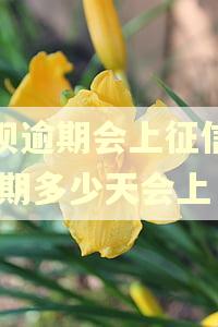 花呗逾期会上征信吗,逾期多少天会上