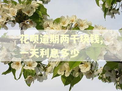 花呗逾期两千块钱,一天利息多少