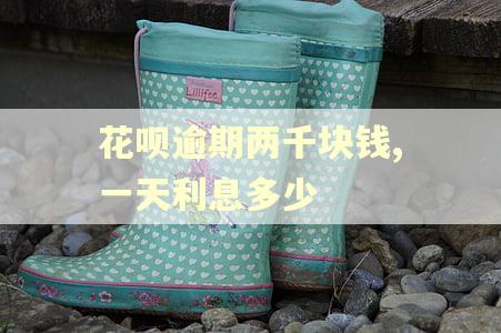 花呗逾期两千块钱,一天利息多少