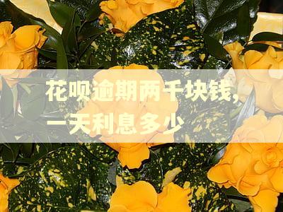 花呗逾期两千块钱,一天利息多少