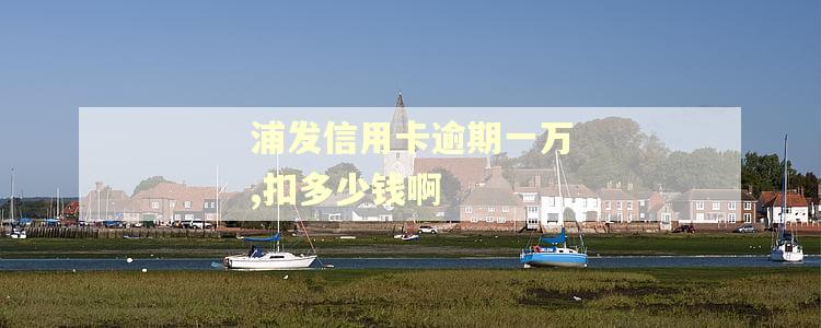 浦发信用卡逾期一万,扣多少钱啊