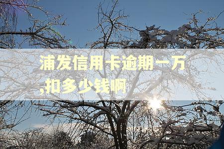 浦发信用卡逾期一万,扣多少钱啊