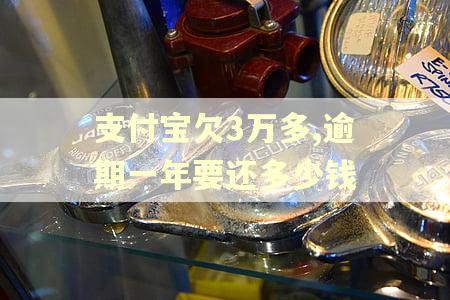 支付宝欠3万多,逾期一年要还多少钱