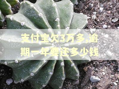 支付宝欠3万多,逾期一年要还多少钱