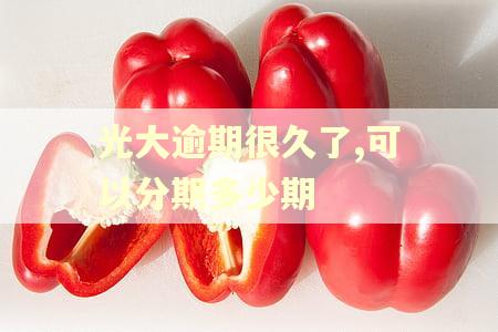 光大逾期很久了,可以分期多少期