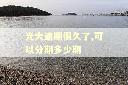 光大逾期很久了,可以分期多少期