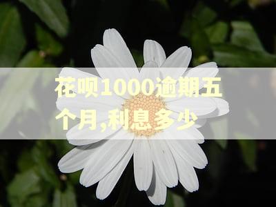 花呗1000逾期五个月,利息多少