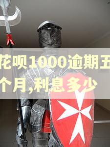 花呗1000逾期五个月,利息多少