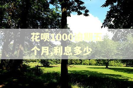 花呗1000逾期五个月,利息多少