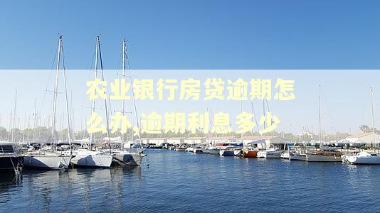 农业银行房贷逾期怎么办,逾期利息多少