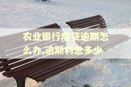 农业银行房贷逾期怎么办,逾期利息多少 农业银行房贷逾期怎么办,逾期利息多少
