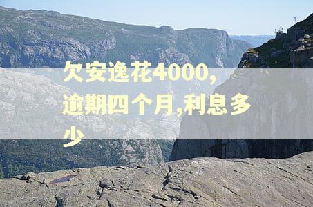 欠安逸花4000,逾期四个月,利息多少