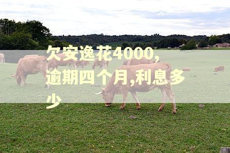 欠安逸花4000,逾期四个月,利息多少