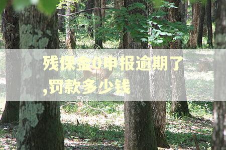残保金0申报逾期了,罚款多少钱