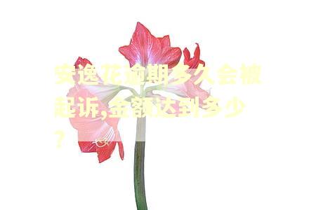 安逸花逾期多久会被起诉,金额达到多少?