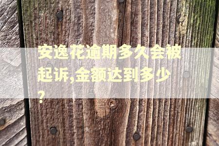 安逸花逾期多久会被起诉,金额达到多少?