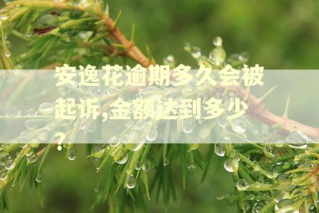 安逸花逾期多久会被起诉,金额达到多少?