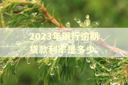 2023年银行逾期贷款利率是多少