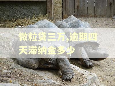 微粒贷三万,逾期四天滞纳金多少