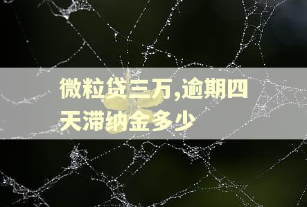 微粒贷三万,逾期四天滞纳金多少 微粒贷三万,逾期四天滞纳金多少