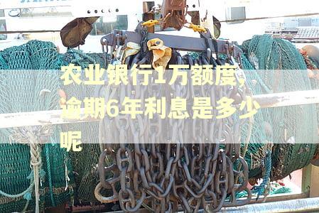 农业银行1万额度,逾期6年利息是多少呢