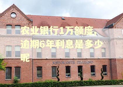 农业银行1万额度,逾期6年利息是多少呢