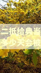 房子二抵给典当行,逾期多少天会被起诉