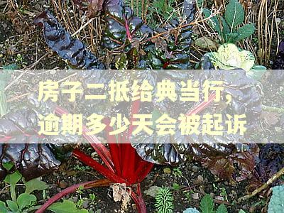 房子二抵给典当行,逾期多少天会被起诉