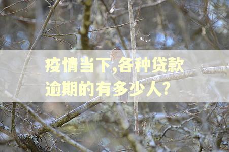 疫情当下,各种贷款逾期的有多少人?