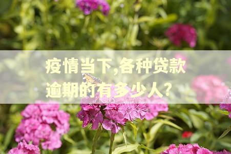 疫情当下,各种贷款逾期的有多少人?