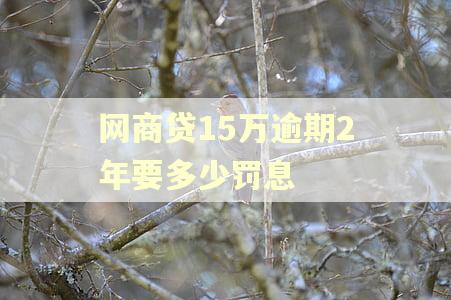 网商贷15万逾期2年要多少罚息