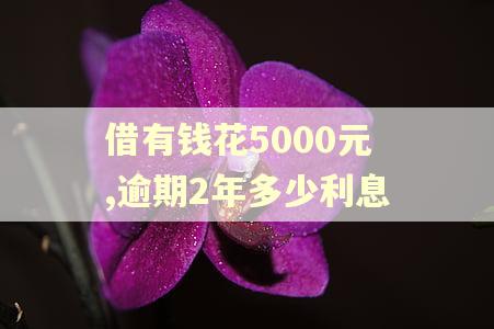 借有钱花5000元,逾期2年多少利息