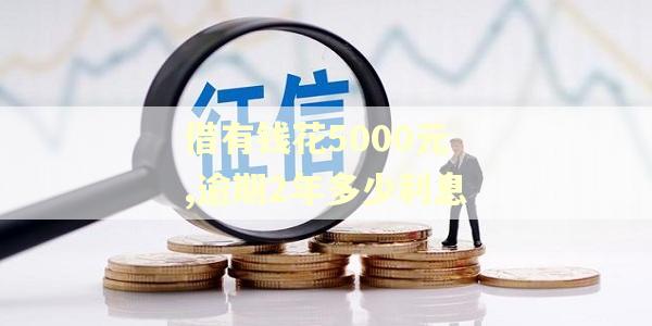 借有钱花5000元,逾期2年多少利息