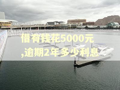 借有钱花5000元,逾期2年多少利息