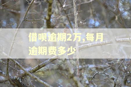 借呗逾期2万,每月逾期费多少