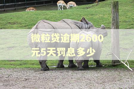 微粒贷逾期2600元5天罚息多少