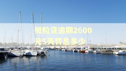 微粒贷逾期2600元5天罚息多少
