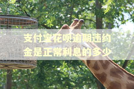 支付宝花呗逾期违约金是正常利息的多少
