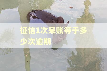 征信1次呆账等于多少次逾期