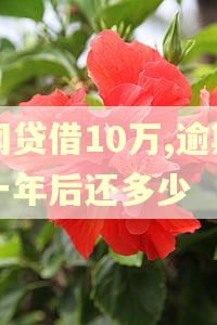 网贷借10万,逾期一年后还多少