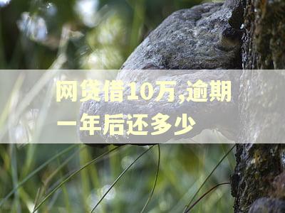 网贷借10万,逾期一年后还多少