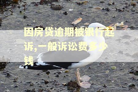 因房贷逾期被银行起诉,一般诉讼费多少钱