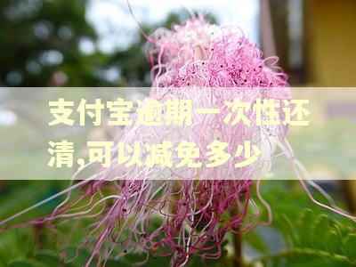 支付宝逾期一次性还清,可以减免多少