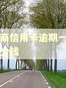 工商信用卡逾期一年多少钱