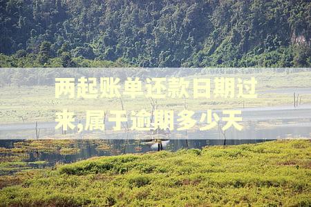 两起账单还款日期过来,属于逾期多少天