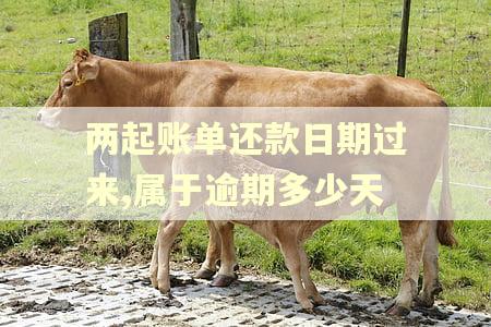 两起账单还款日期过来,属于逾期多少天