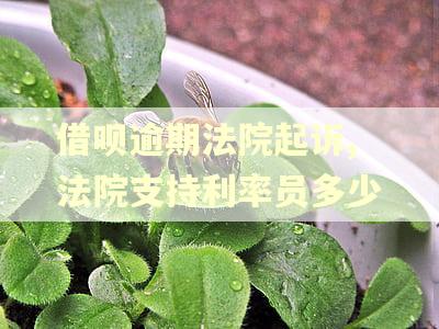 借呗逾期法院起诉,法院支持利率员多少