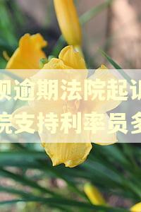 借呗逾期法院起诉,法院支持利率员多少