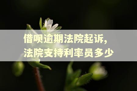 借呗逾期法院起诉,法院支持利率员多少
