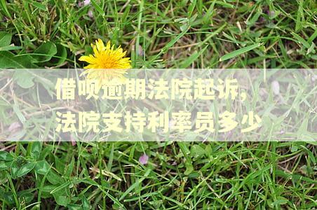 借呗逾期法院起诉,法院支持利率员多少